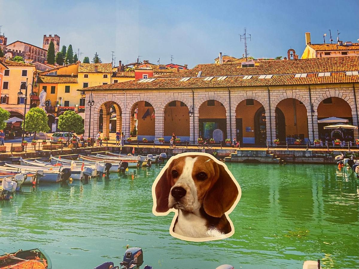 Desenzanoloft Smile On The Lake Desenzano del Garda Ngoại thất bức ảnh